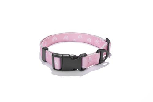 EXPLORER DOG Obojek Duha S - 24-36x1,5 cm