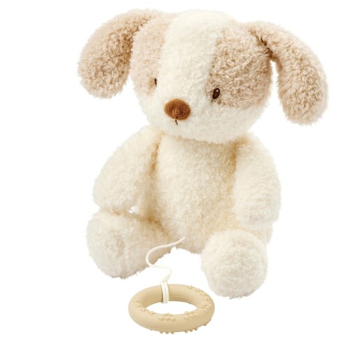 NATTOU Hračka plyšová hudební Teddy pejsek 24 cm, 0m+