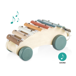 Dřevěný tahací xylofon, Xylophone