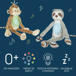 Plyšový usínáček s projektorem a melodiemi, Raccoon