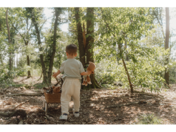 Panenka Sam Forest Friends