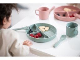 Talíř dělený s přísavkou Platinum Silicone Sage