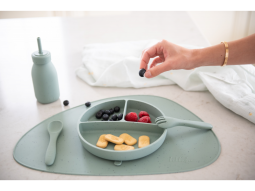 Talíř dělený s přísavkou Platinum Silicone Sage
