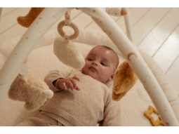 Hrací deka s hrazdou Newborn Naturals