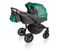 Dorjan Twin VIVO 2022 - 02 Green
